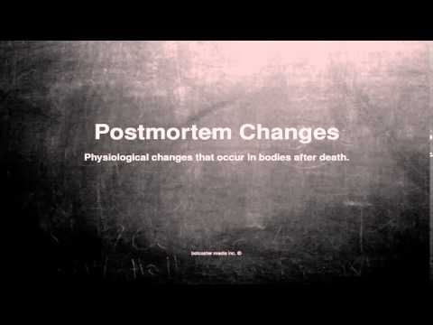 Medical vocabulary: What does Postmortem Changes mean