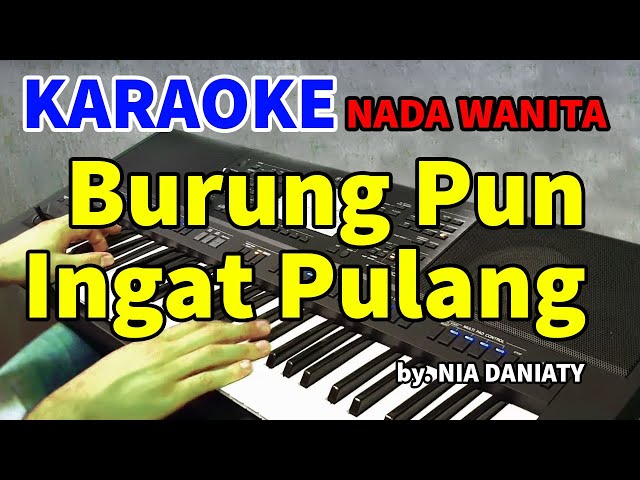 BURUNG INGAT PULANG - Nia Daniaty | KARAOKE HD class=