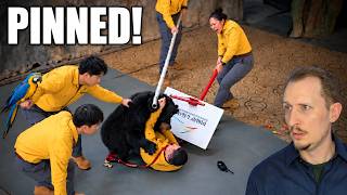 A Bear Turns on Its Keeper… Then This Happens | Zoologist Reacts