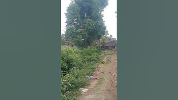 auto pilot mode🌧.. #drone  Spraying.. #silent farming🔥