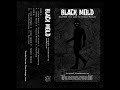 Vandalorum  black mold dungeon synth crypt hop 2022