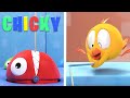 Onde está Chicky? 2023 | VIAGEM DE PESCA | Desenhos Animados Infantil | Novos episódios