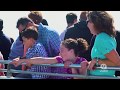 Boston Whale Watching Cruise by High Speed Catamaran