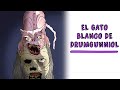 Gato Blanco de Drumgunniol 🐱💀 Draw My Life Terror