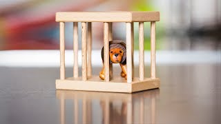 The Lion in the Cage - Set him free!