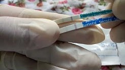 Tespek samar, apakah terjadi kehamilan? (Test pack 2kali samar 1kali positive) - Durasi: 3.43. Tespek samar, apakah terjadi kehamilan? (Test pack 2kali samar 1kali positive) - Durasi: 3.43.