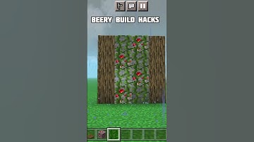 berry Minecraft build hacks #youtubeshorts #shorts #minecraft