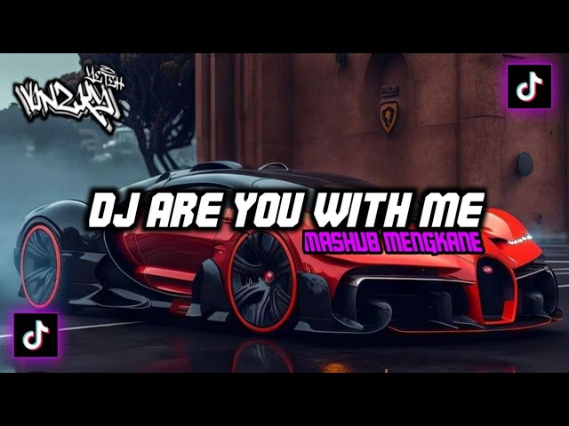 DJ ARE YOU WITH ME X DIMANA KAMU X I WANNA FEEL LIKE || DJ VIRAL TIKTOK TERBARU 2023 class=