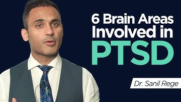 The Neurobiology & Phenotypes of Trauma And It