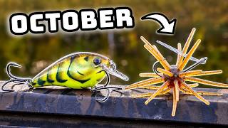 Fish THESE October Lures For MORE BASS!