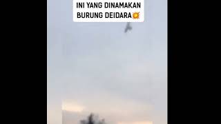 Burung Deidara Di Dunia Nyata - Seni Adalah Ledakan || Story Wa Lucu