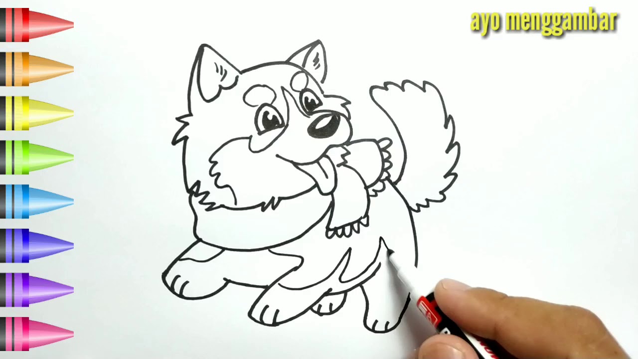 Mudahnya Ayo Belajar Cara Menggambar Anjing Lucu Dan Mewarnai