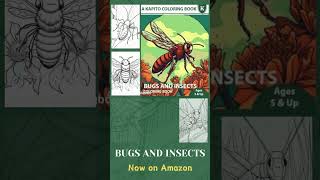 A Kapito Coloring Book: Bugs and Insects Coloring Book