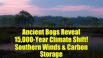 Ancient Bogs Reveal 15,000-Year Climate Shift! Southern Winds & Carbon Storage