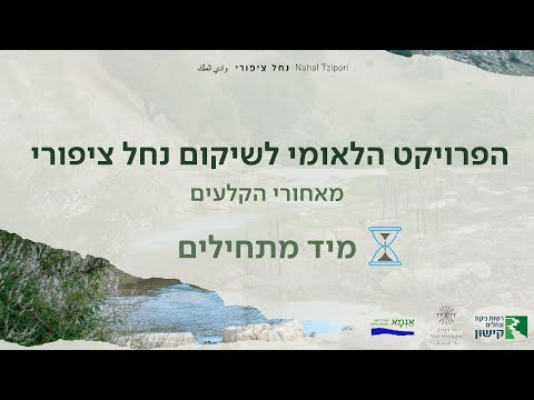 וִידֵאוֹ: כאשר הייב פולש למוח מה המצב שנוצר?