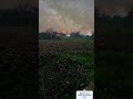 🌄 Nature never rushes, yet everything arrives #nature lover #2026shortvideo