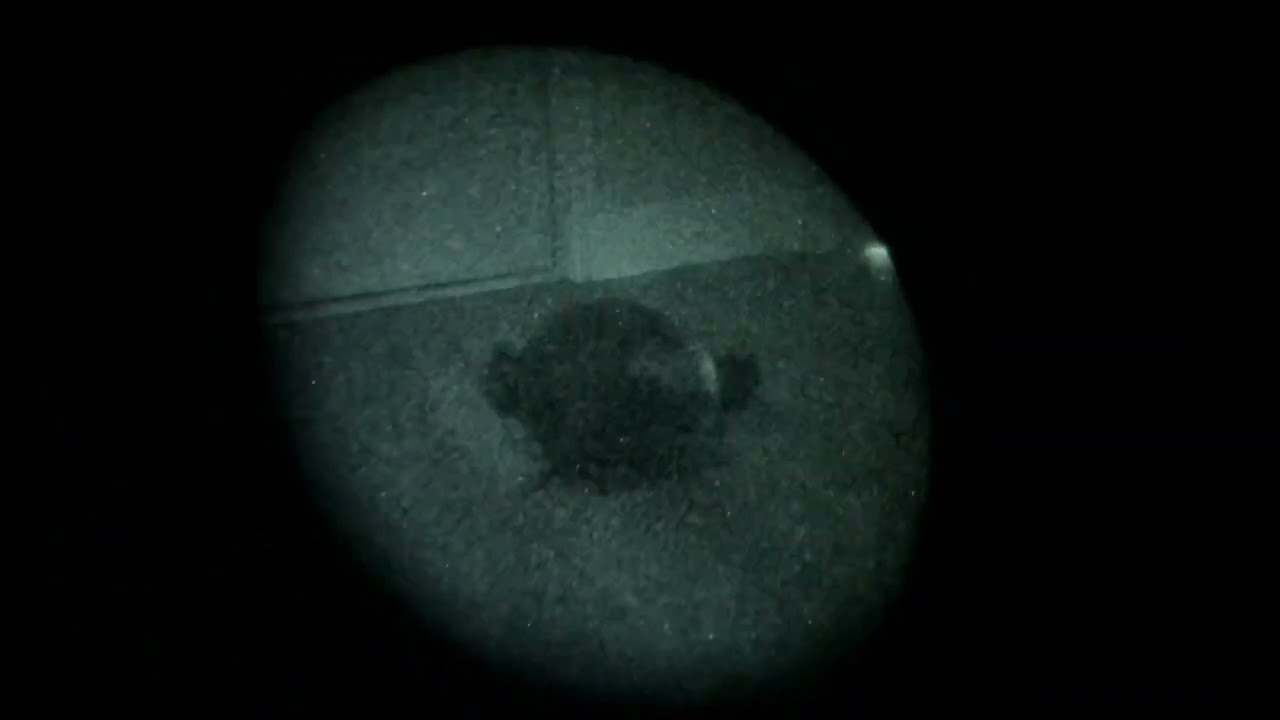 What does a cheap airsoft ir laser look like?