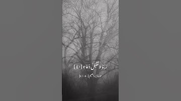 سورة إبراهيم [٤٠-٤١]
