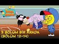 KRAL ŞAKİR: 3 Bölüm Bir Arada | Çizgi Film