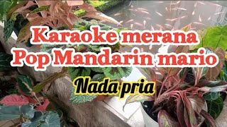 KARAOKE MERANA - POP MANDARIN MARIO 'nada pria'