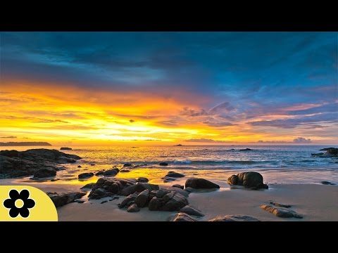 8-hour-deep-sleep-music,-peaceful-music,-relaxing,-meditation-music,-sleep-meditation-music,-✿2987c