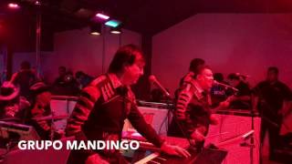 Video thumbnail of "Desde que tú te fuiste MANDINGO"