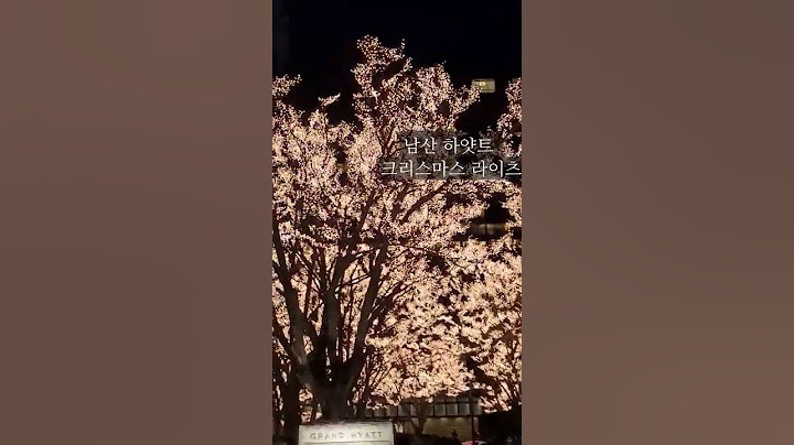 남산 하얏트호텔 크리스마스장식 너무눈부셔👍#남산#seoul#christmas#tree#イルミネーション#ソウル#クリスマス