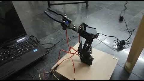 Robotic arm -project assignment for Skyfi labs Online course by SAI KIRAN.CH