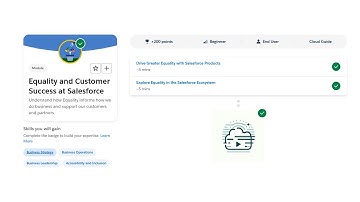 Equality and Customer Success at Salesforce - Salesforce Trailhead