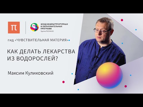 Видео: CRFVoter: распознавание объектов, связанных с генами и белками, с использованием конгломерата инструментов на основе CRF