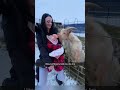 Cute goat #funny #baby