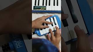 tutor stroberi mangga apel kebalik koplo