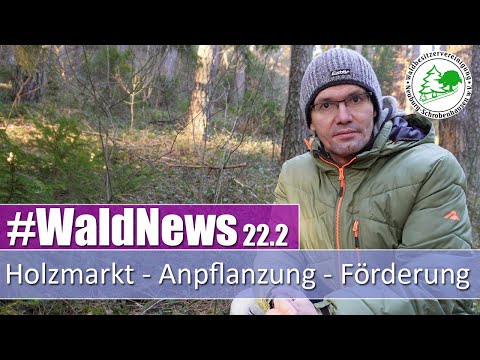 Update New Aktuelles vom Holzmarkt, Anpflanzung und Förderungen - Waldnews 2.22