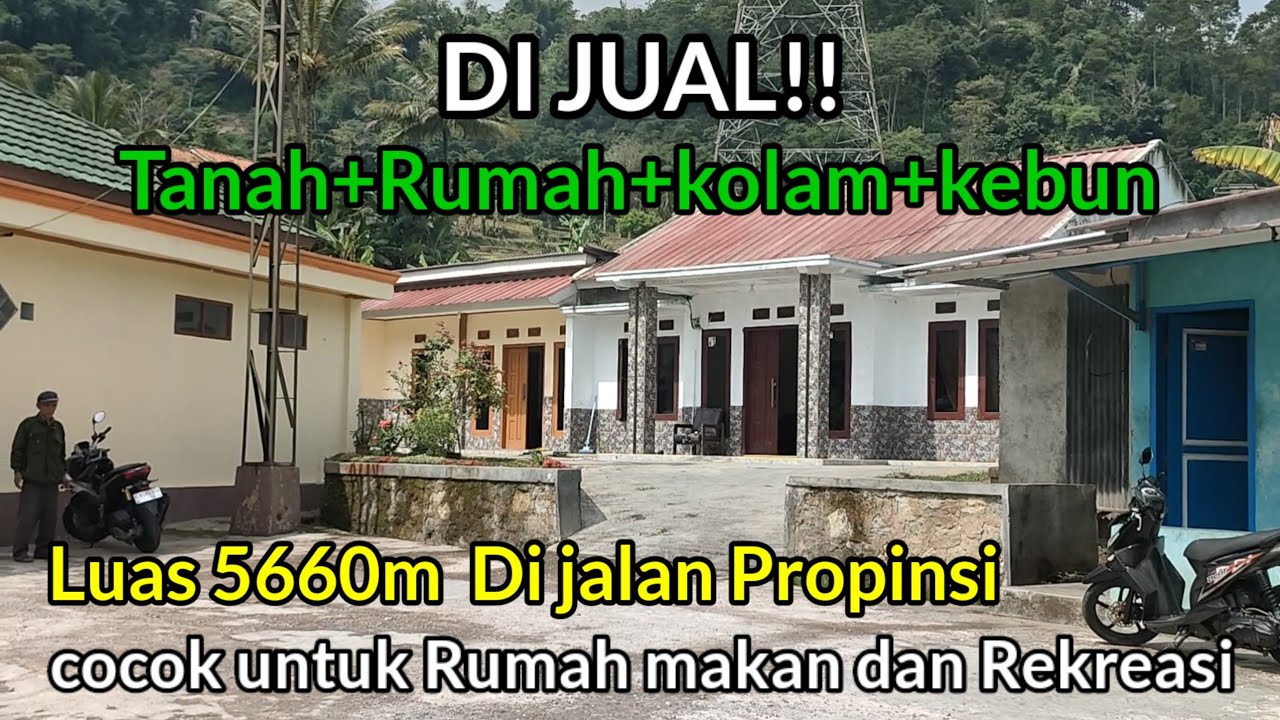 Di Jual‼️Rumah Tanah sawah kebun kolam ikan dan warung Luas 5660m Di tawarkan 2M nego jalan propinsi