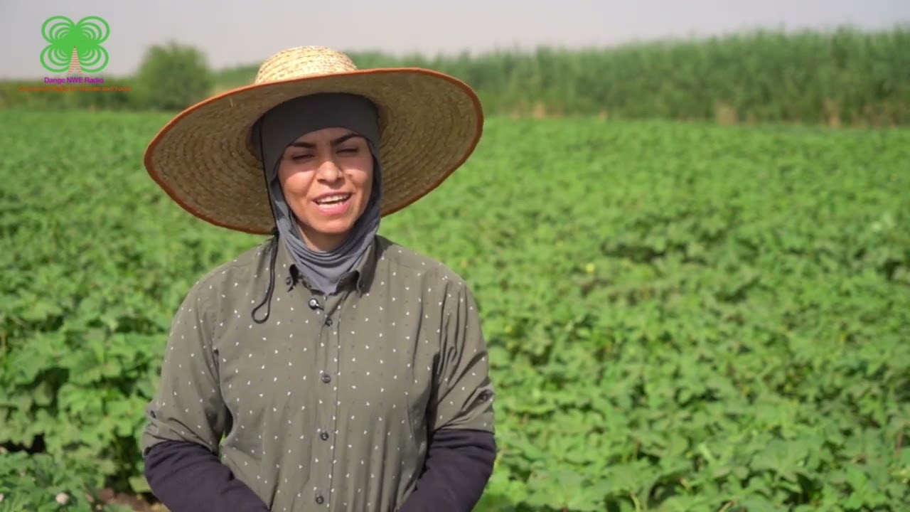 کچێکی گەنج لەهەڵەبجە خوێندکاری ماستەرە و ڕۆژانە لەدەشتی شارەزوور کرێکاری دەکات