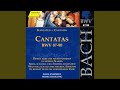 Miniature de la vidéo de la chanson Kantate, Bwv 90 "Es Reißet Euch Ein Schrecklich Ende": Ii. Recitativo (Alto) "Des Höchsten Güte Wird Von Tag Zu Tage Neu"