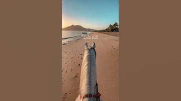 ايات قصة يوسف 
