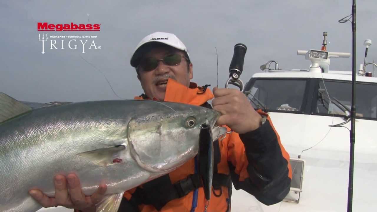 ICM館山釣具センター / Megabass TRIGYA TJ