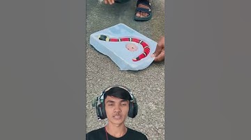 Red & Black RC Snake🐍 new unboxing 🔥 #automobile #xcavator #remote #gaming #remotewala  #toys