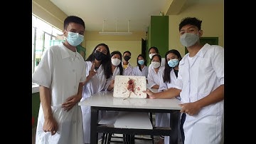 RAT DISSECTION VIDEO