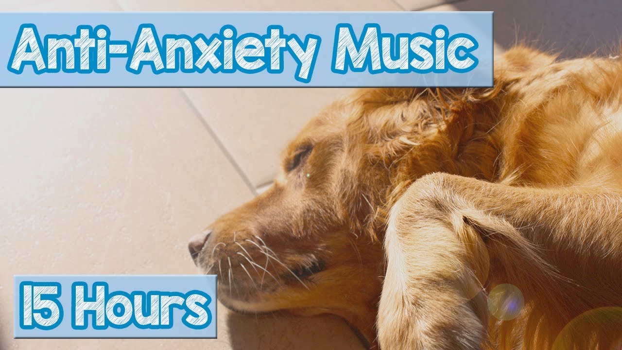 calming music for dogs with anxiety