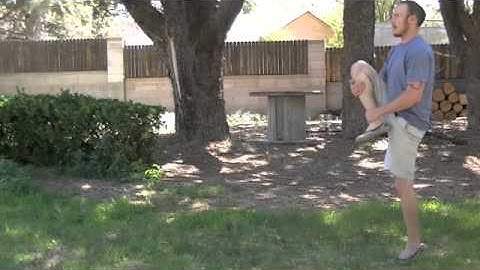 Glute Grab Dynamic Stretch