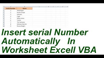 Insert serial Number Automatically In Wortksheet Excell VBA