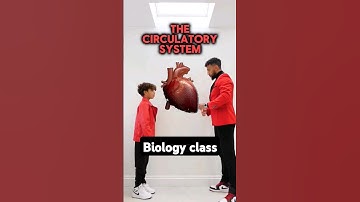 GCSE Biology - Circulatory System