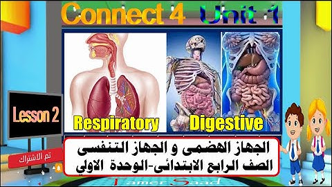 شرح الجهاز الهضمي و الجهاز التنفسي الصف الرابع الابتدائي الوحدة الولي Connect 4, Unit 1, Lesson 2