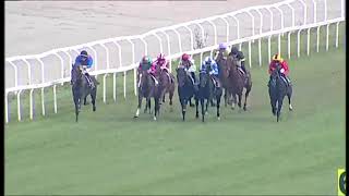 2025.10.19 Premio Gran Criterium Ita - Gaga Mate