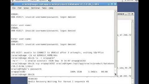 How to change password sys in oracle data guard environment