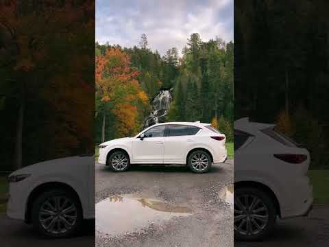 Video: Vožnja s sedežnico New England Fall Foliage