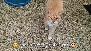 that's Kevin, not Dusty