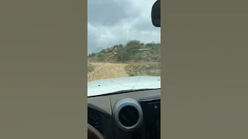 وارد اليابان 